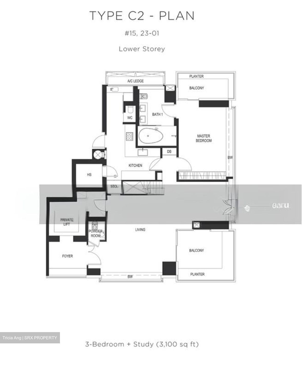 Skyline @ Orchard Boulevard (D9), Apartment #586521711